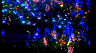 1555467738150529.jpg 30.jpg